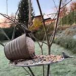La Cocca * Bellinzago Novarese