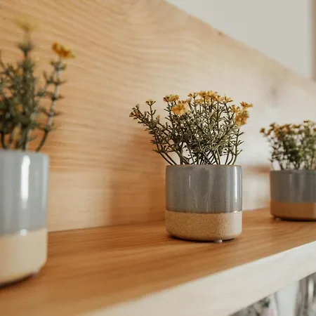 La Cocca Apartment *