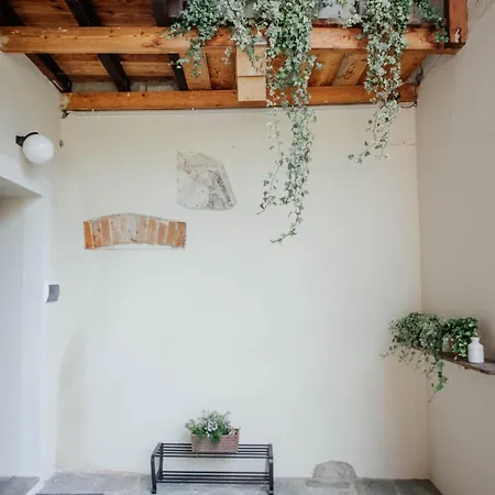 La Cocca
