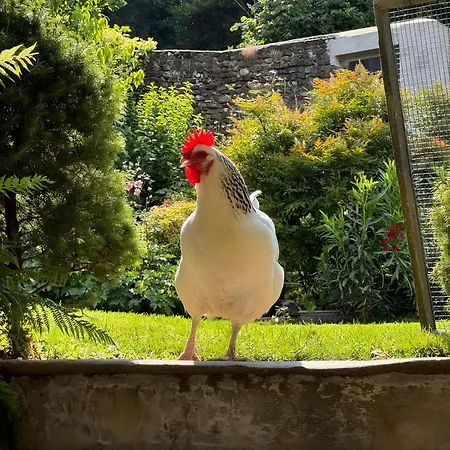 Hébergement de vacances La Cocca