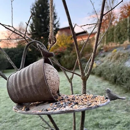 La Cocca * Bellinzago Novarese