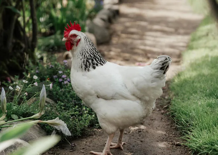 La Cocca * Bellinzago Novarese