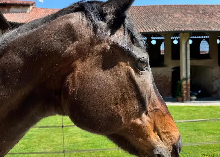 La Cocca Сasa de vacaciones Bellinzago Novarese