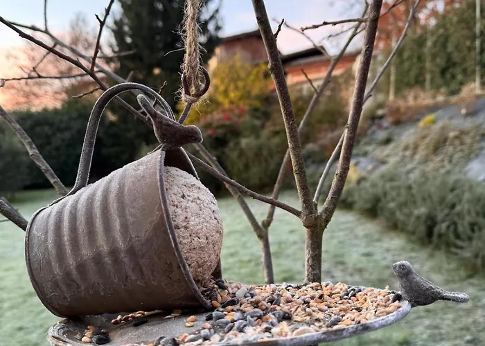 La Cocca * Bellinzago Novarese